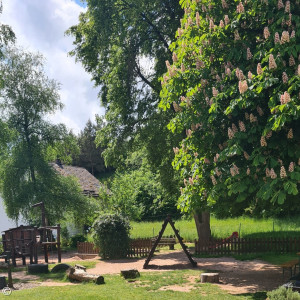 spatzennest_4